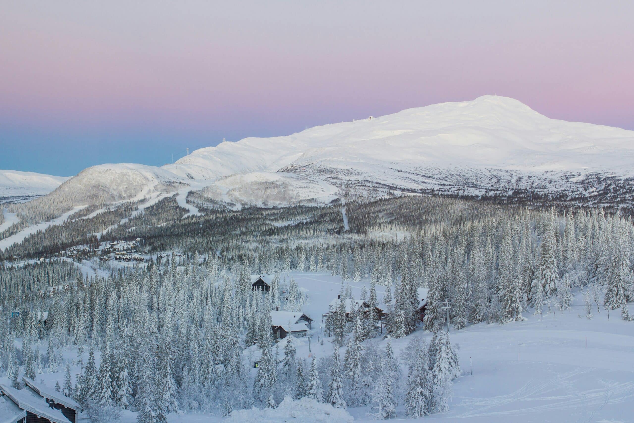 Fjellmiljø