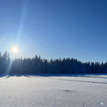 Solskinn i fjellmiljøet
