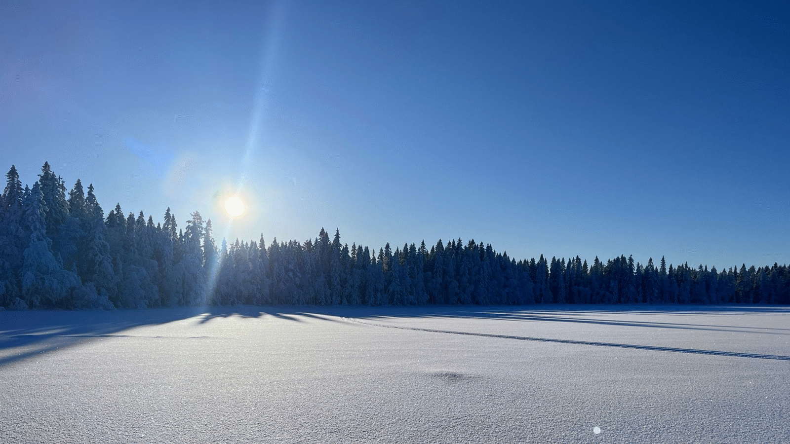 Solskinn i fjellmiljøet