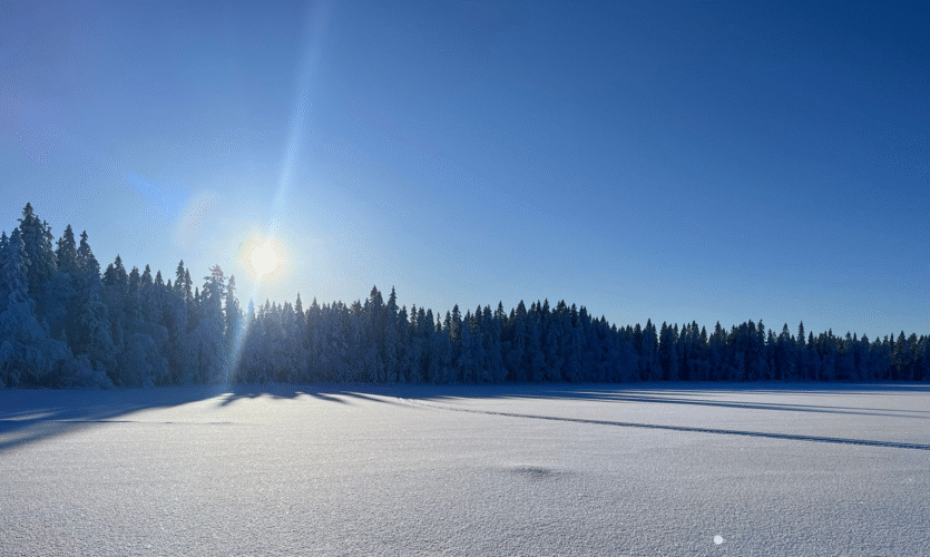 Solskinn i fjellmiljøet