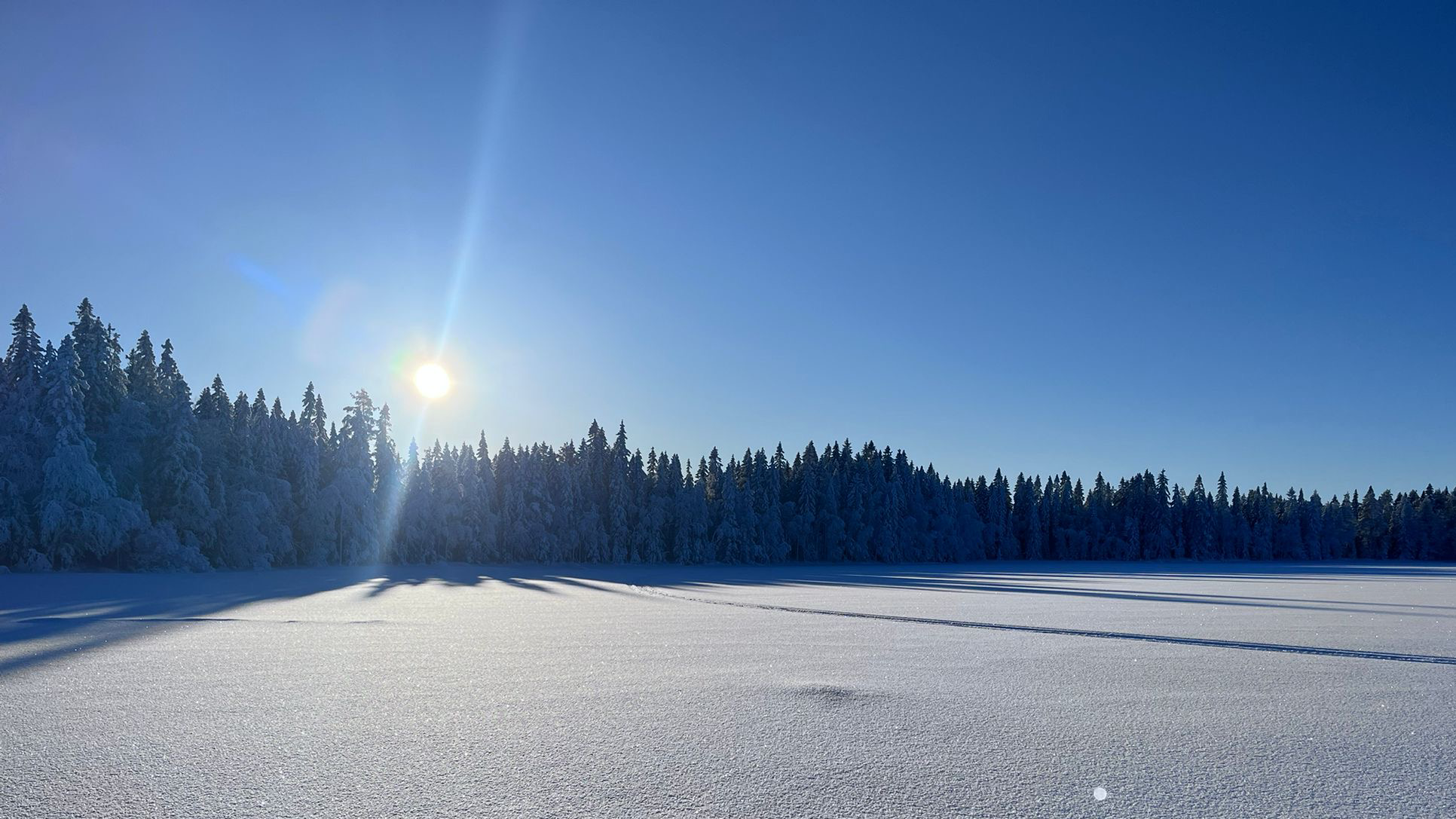 Solskinn i fjellmiljøet
